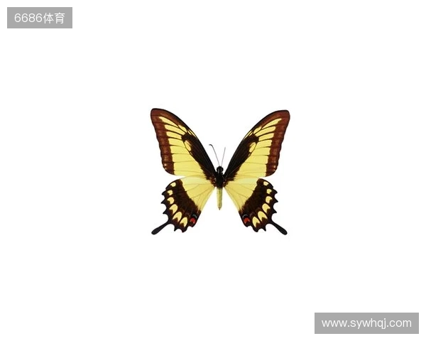 破茧成蝶:Legacy如何登顶南美、跻身世界顶尖行列 破茧成蝶:Legacy如何登顶南美、跻身世界顶尖行列